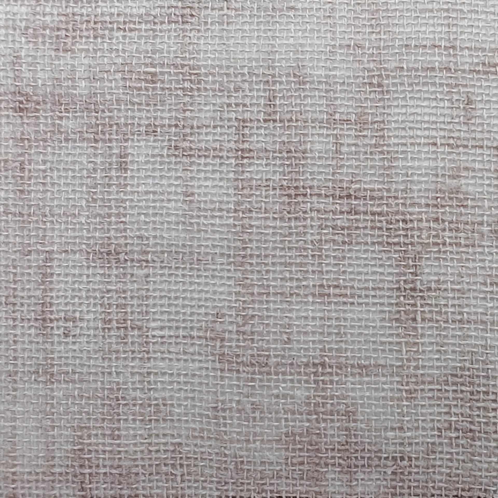 semilino-palmaria-parra